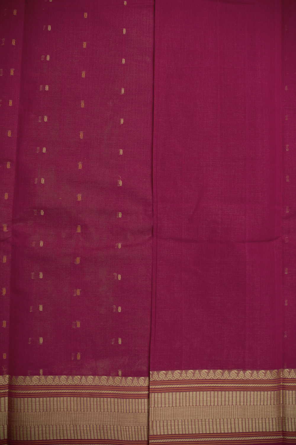 Kanchi Cotton Saree - Matkatus