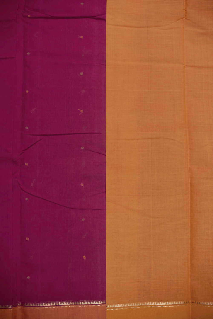 Kanchi Cotton Saree - Matkatus