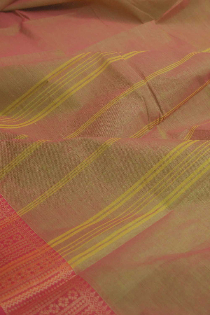 Tradtionl Sarees - Matkatus 