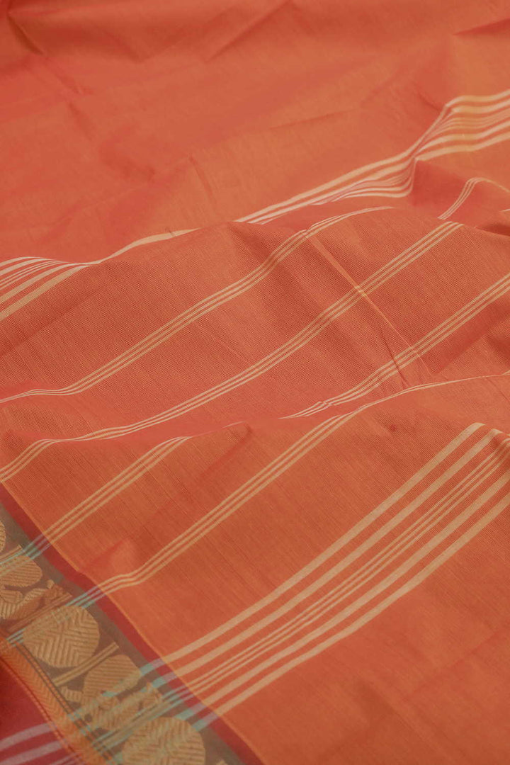 Tradtionl Sarees - Matkatus 
