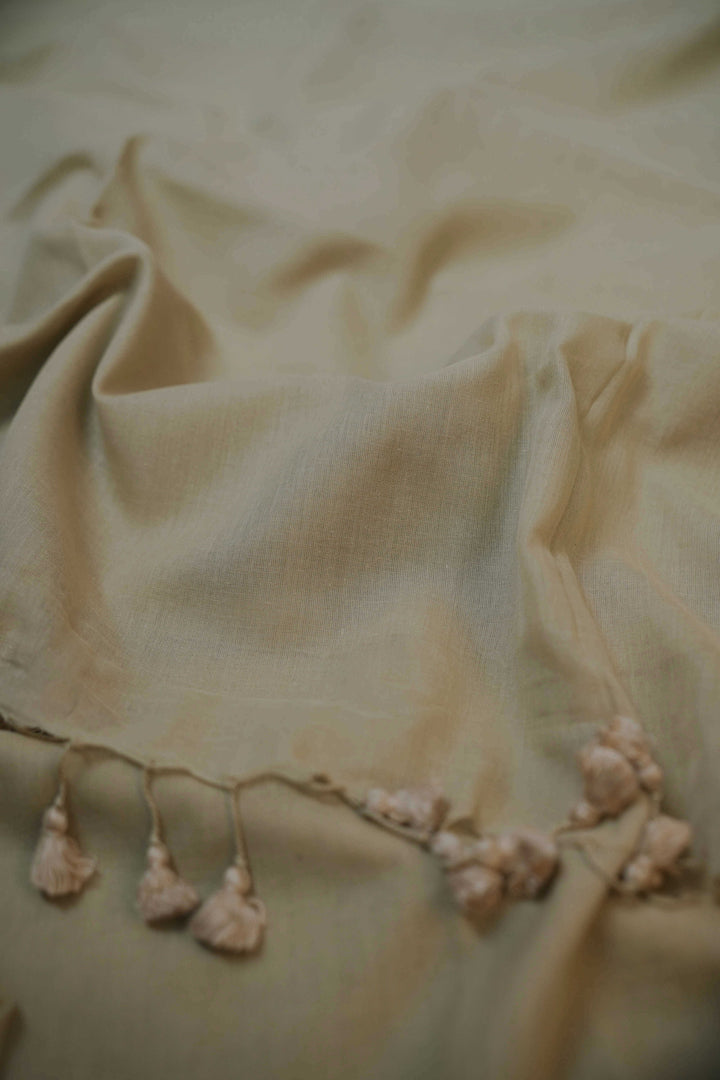 Mul Cotton Sarees - Matkatus 