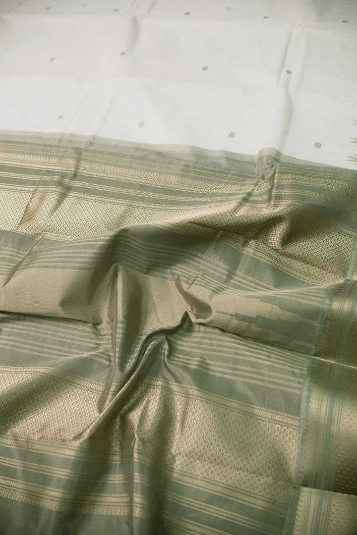 Traditional Saree - Matkatus 