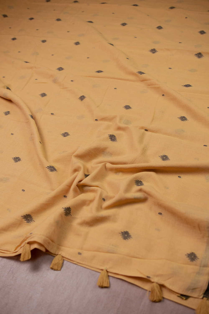 Cotton Saree - Matkatus 