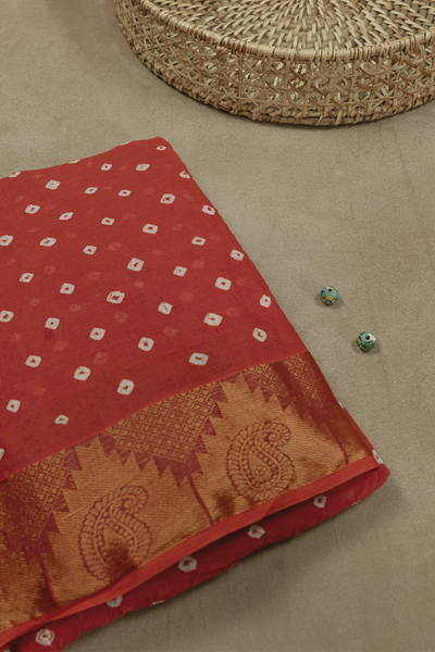 Cotton Saree-Matkatus 