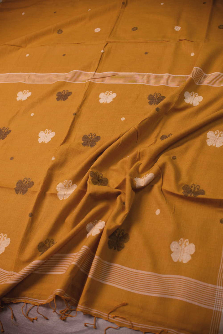 Saree - Matkatus