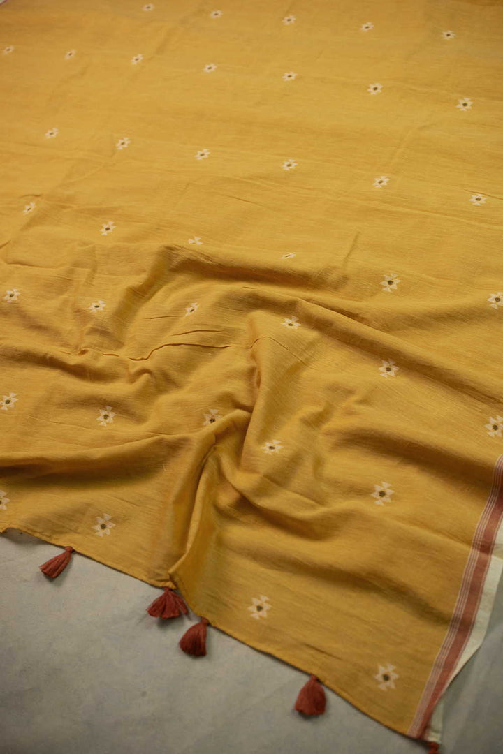 Saree - Matkatus