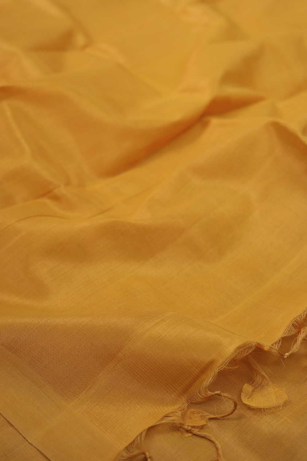 Saree with Blouse - Matkatus 