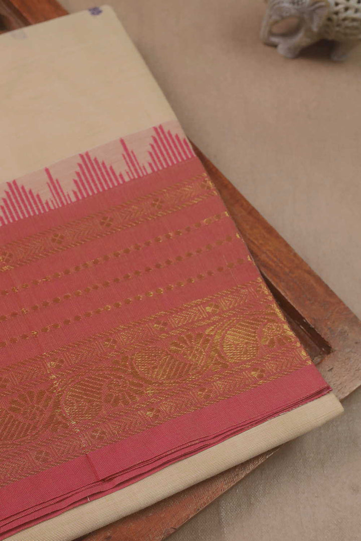 Kanchi Cotton Saree - Matkatus 