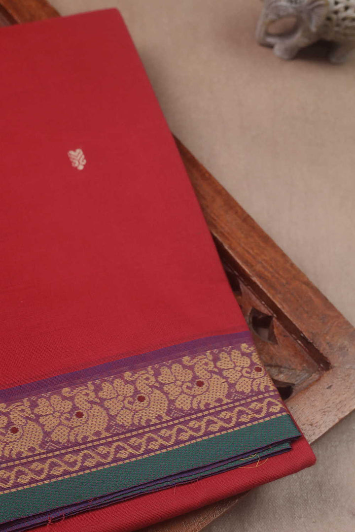 Kanchi Cotton Saree - Matkatus 