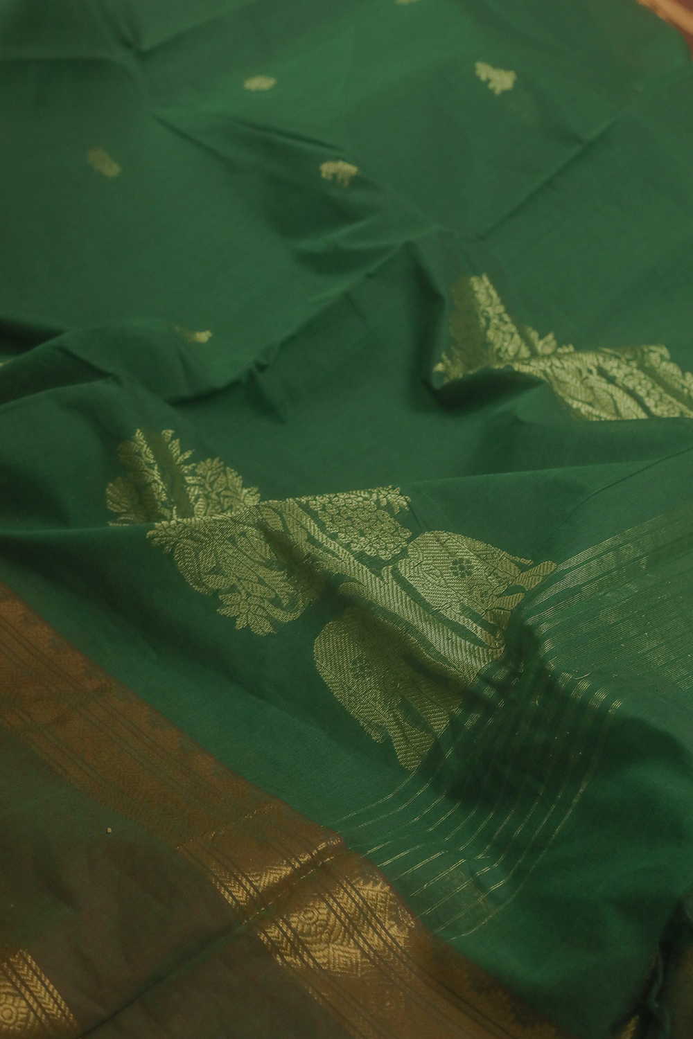Tradtionl Sarees - Matkatus 