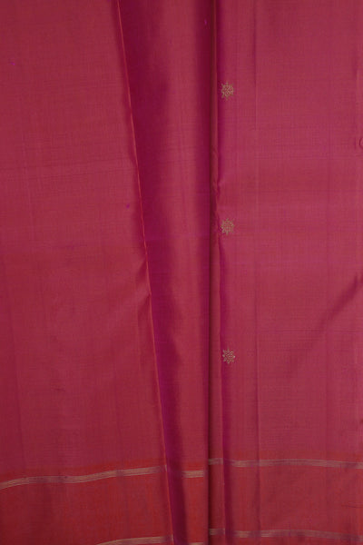 Traditional Saree - Matkatus