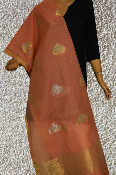 Dupattas - matkatus