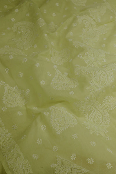 Shaded Yellow Chikan work Embroidered Saree