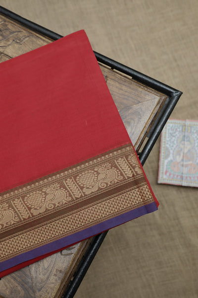 Kanchi Cotton Sarees - Matkatus